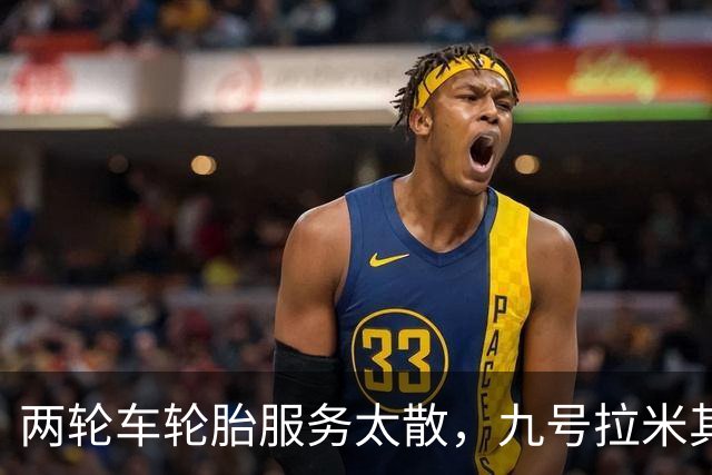 两轮车轮胎服务太散，九号拉米其林进店补课