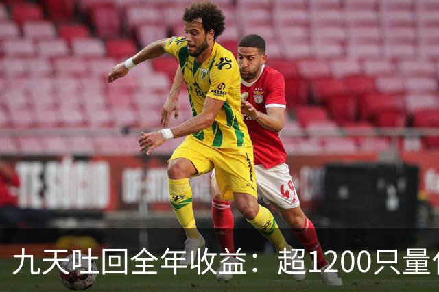 九天吐回全年收益：超1200只量化私募净值跌至“水下”