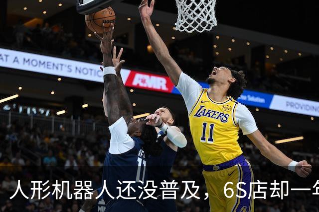 人形机器人还没普及，6S店却一年开了二十多家，这生意正常吗？