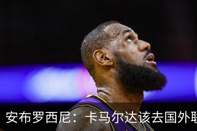 安布罗西尼：卡马尔达该去国外联赛踢球，看看特雷索尔迪表现