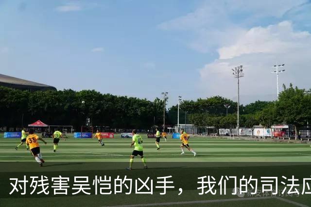 对残害吴恺的凶手，我们的司法应果断亮剑、坚决严惩！