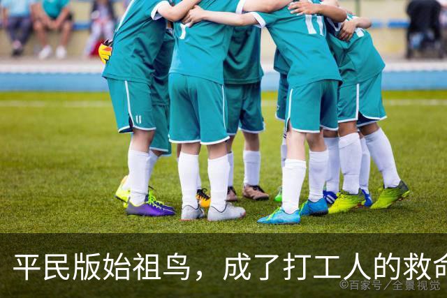 平民版始祖鸟，成了打工人的救命神装