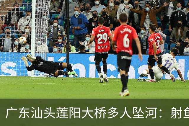 广东汕头莲阳大桥多人坠河：射鱼群翻护栏踩断管道，伤亡待确认！