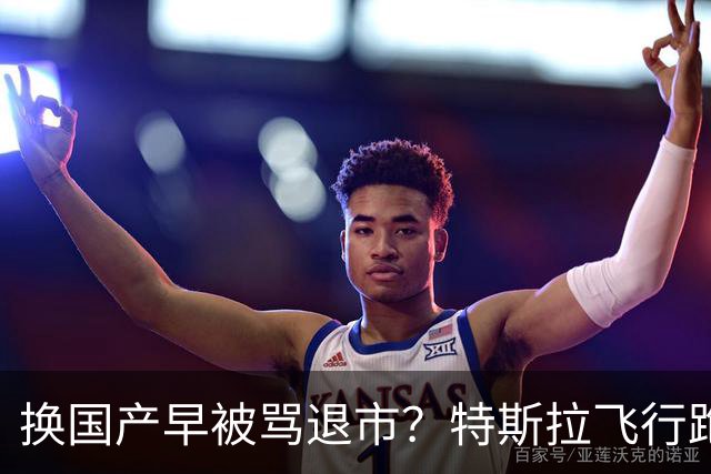 换国产早被骂退市？特斯拉飞行跑车吵翻全网