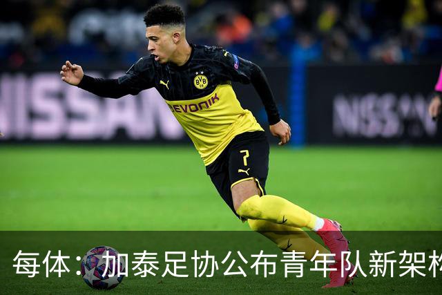每体：加泰足协公布青年队新架构，奥尔莫父亲上任