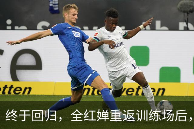 终于回归，全红婵重返训练场后，陈芋汐因一个举动口碑暴涨