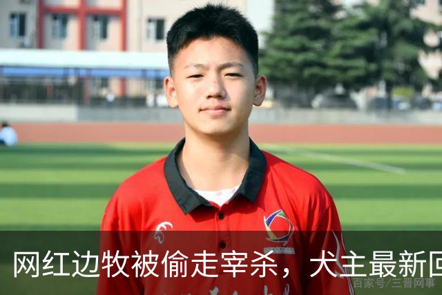 网红边牧被偷走宰杀，犬主最新回应：对方赔偿30万元，我将一分不留全捐出去！